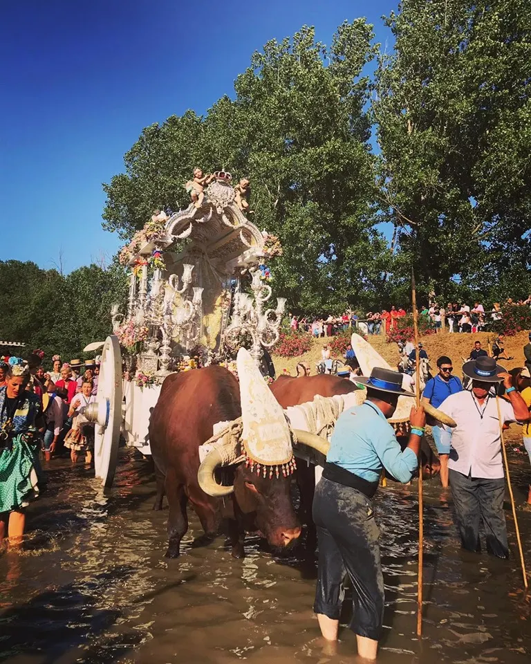 Momentos del Camino al Rocio 2019- Moron