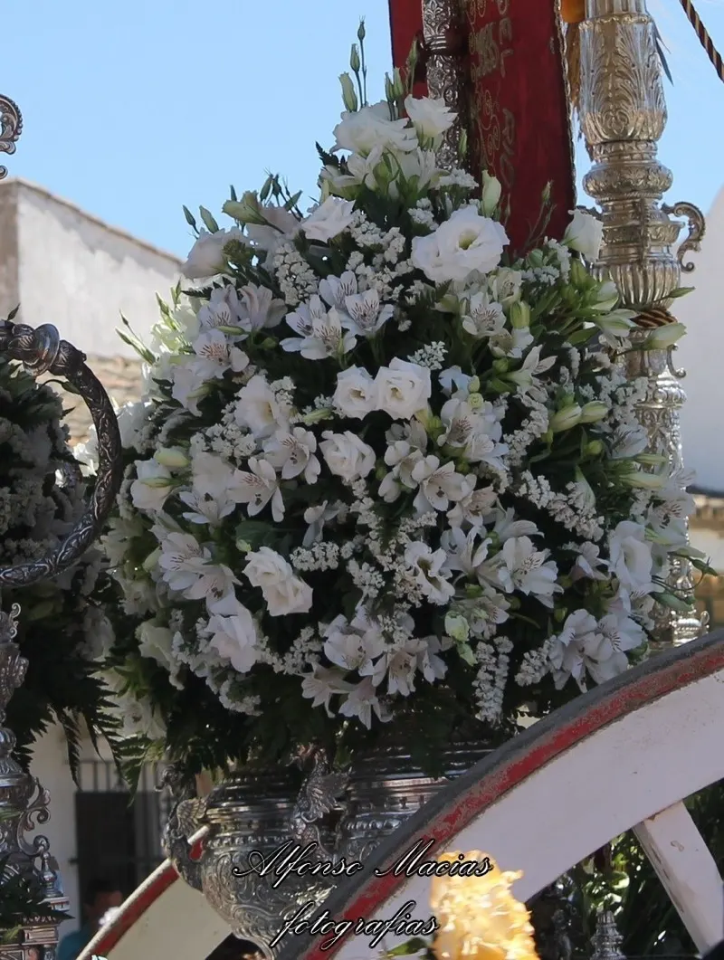 5382-alfonso-macias-IMG_0040