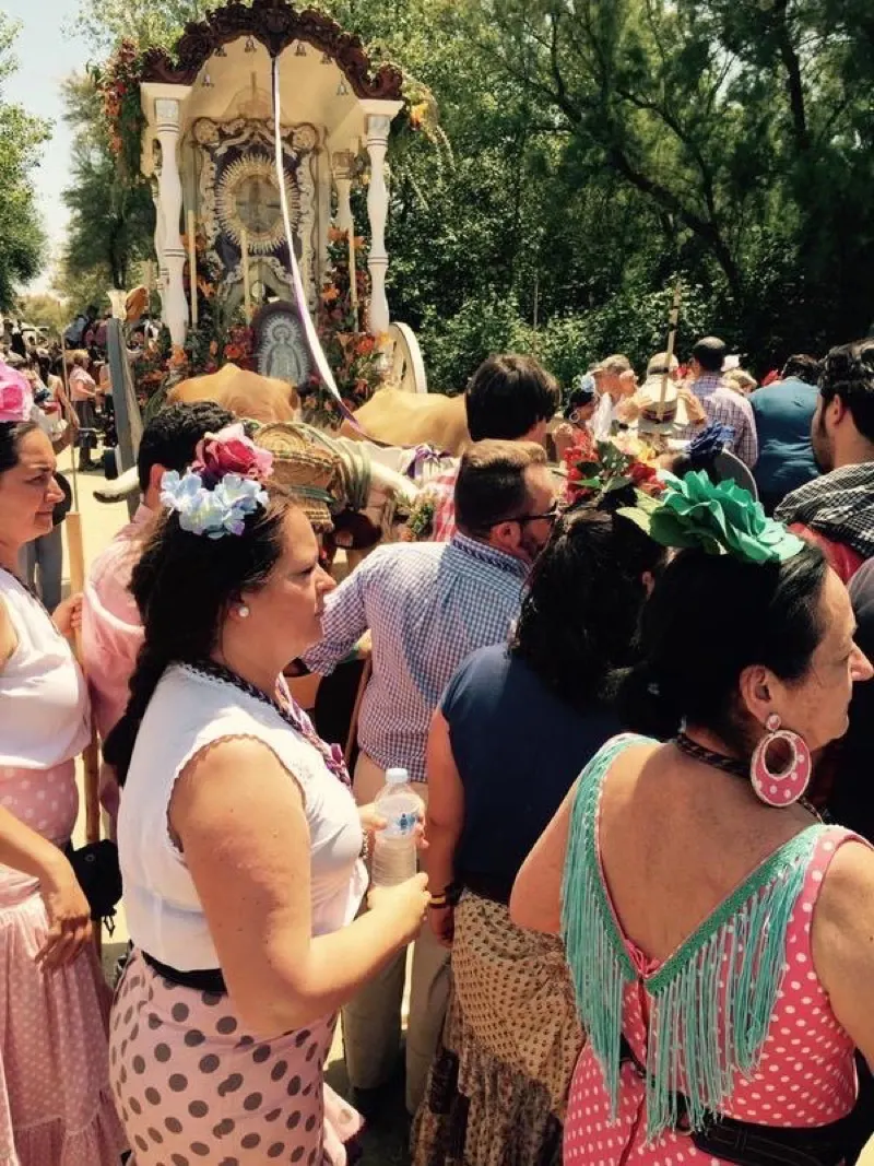 Ronda - rocio 2015-1