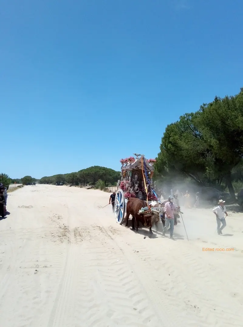 Mairena del Alcor Momentos del camino rocio 2019-4