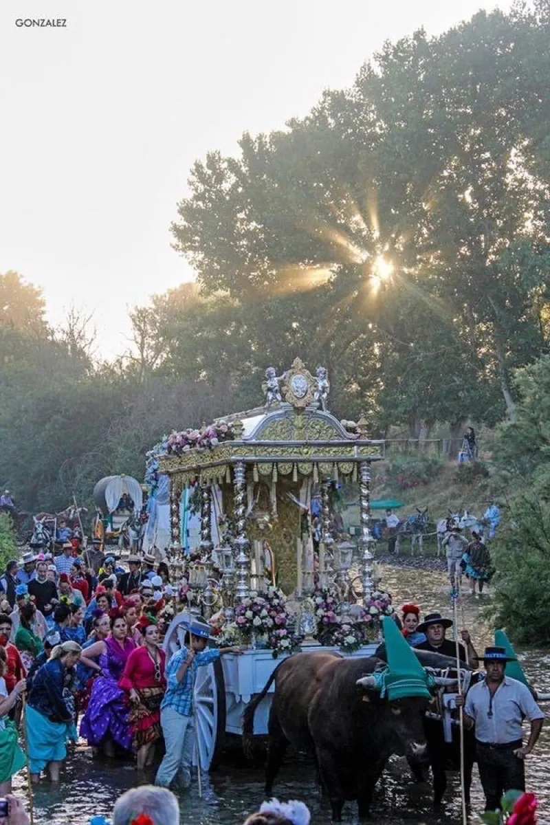 Salteras - rocio 2015-3
