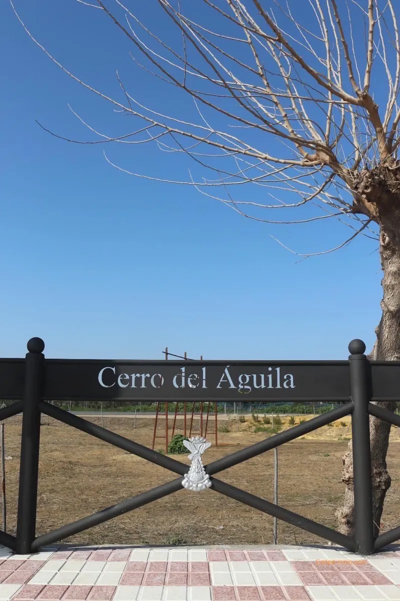 Villamanrrique paso Hdades-37