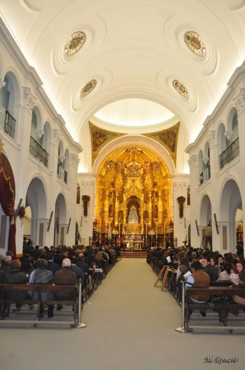 4949-vigilia-inmaculada-2013-3