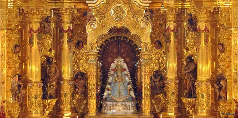 4949-vigilia-inmaculada-2013-49