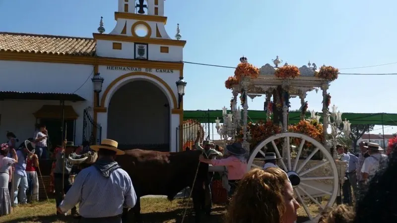 Camas rocio 2015-1