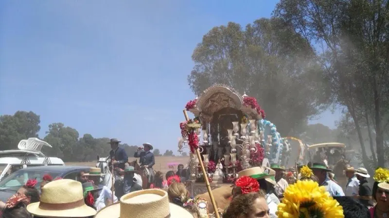 Triana camino 2015-1