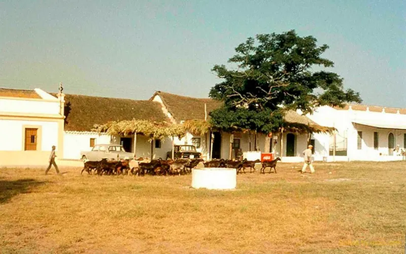 26-rocio.com-antiguo-rocio-23_std