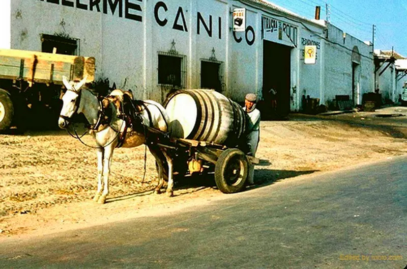 37-rocio.com-antiguo-rocio-34_std