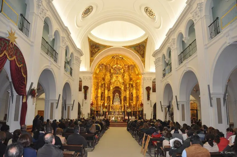 4949-vigilia-inmaculada-2013-48