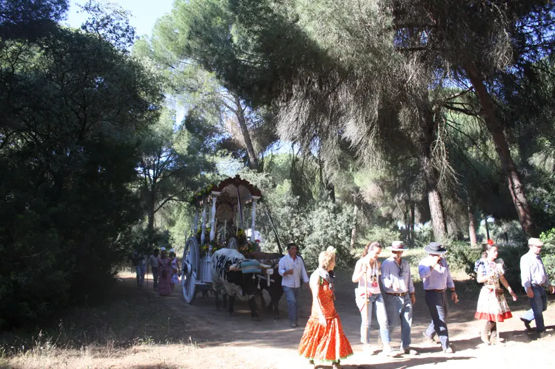 rocio-2012-ronda- Rafael-Rojas-IMG_8596