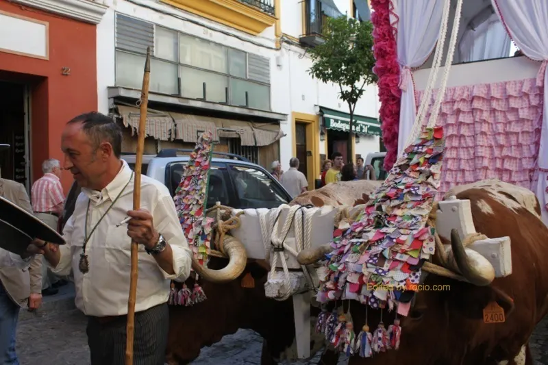 5359-salida-triana-2014-IMG_1222