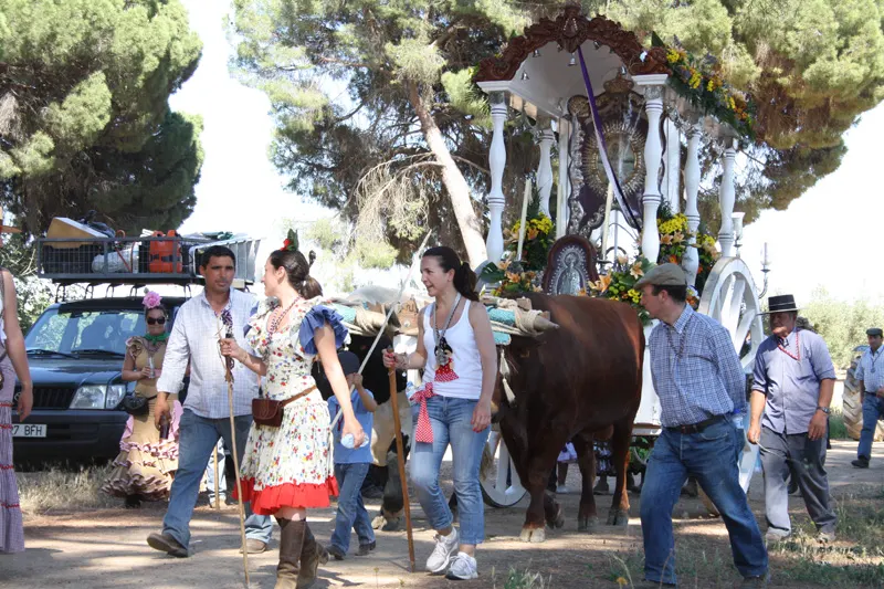 rocio-2012-ronda- Rafael-Rojas-IMG_8566