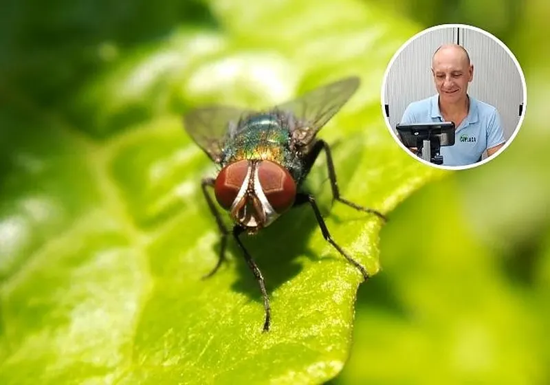 mosca daniel gomez kugf r6lnhpyrywxzvhqxfgnvsgi 1200x840 diario abc