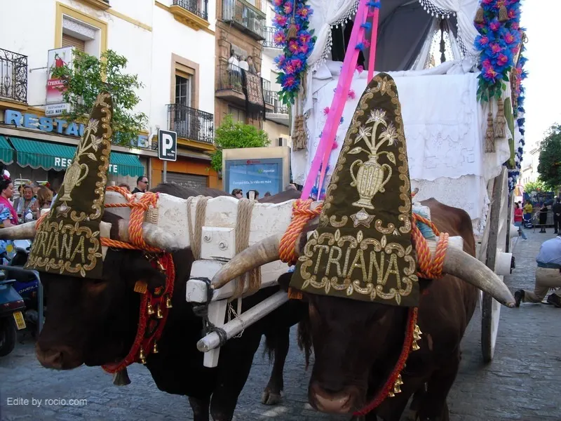 2185-triana-8_redimensionar.JPG