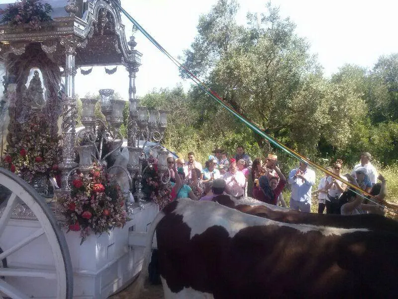 74-las-cabezas-1
