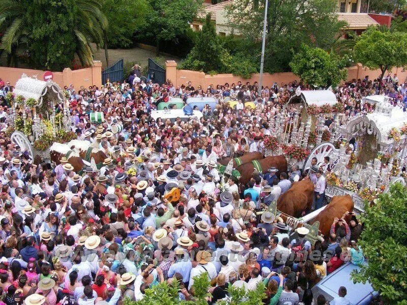 Gines camino 2015-1