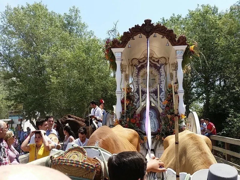 Ronda camino 2015-1