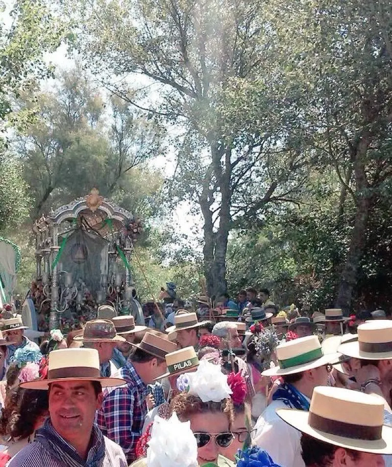 Pilas - rocio 2015-1