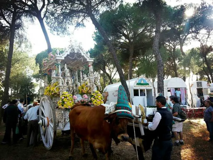 Carretas- adornos -1