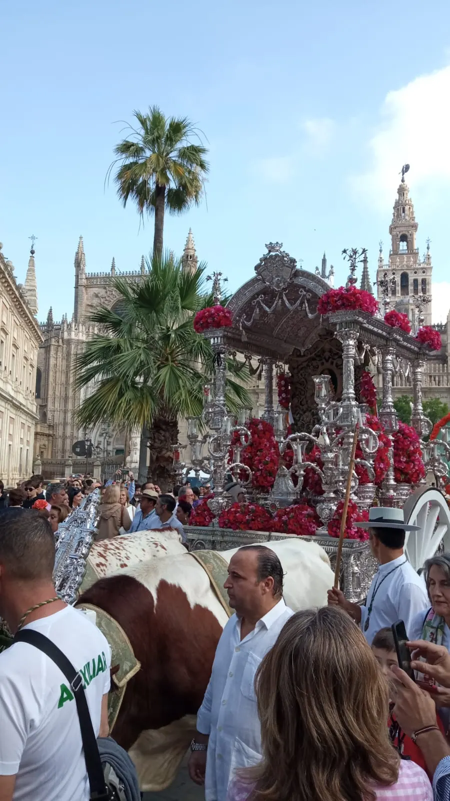 Sevilla-1-Momentos del camino rocio 2023