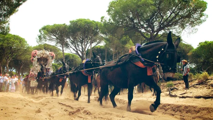 16-jerez-1