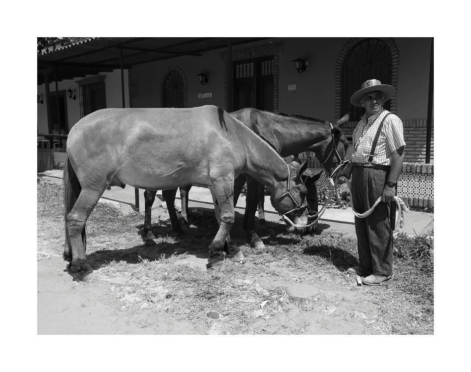Jose Manuel LLamas Lucena