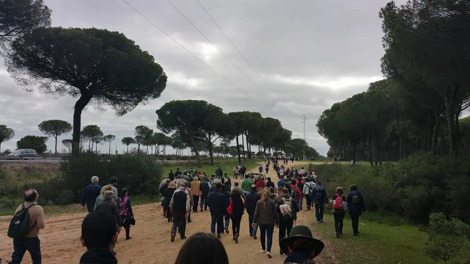 Via crucis cadiz 2016-42