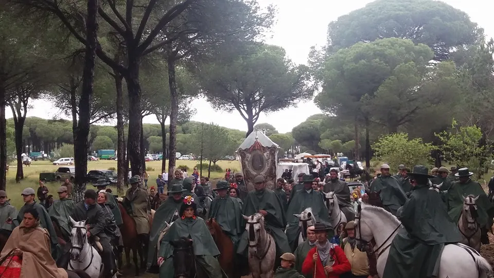 Matriz al rocio 2016-8