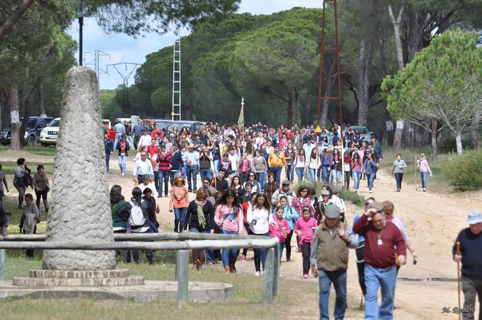 peregrinacion-2014-encuentro-5192-joven-48
