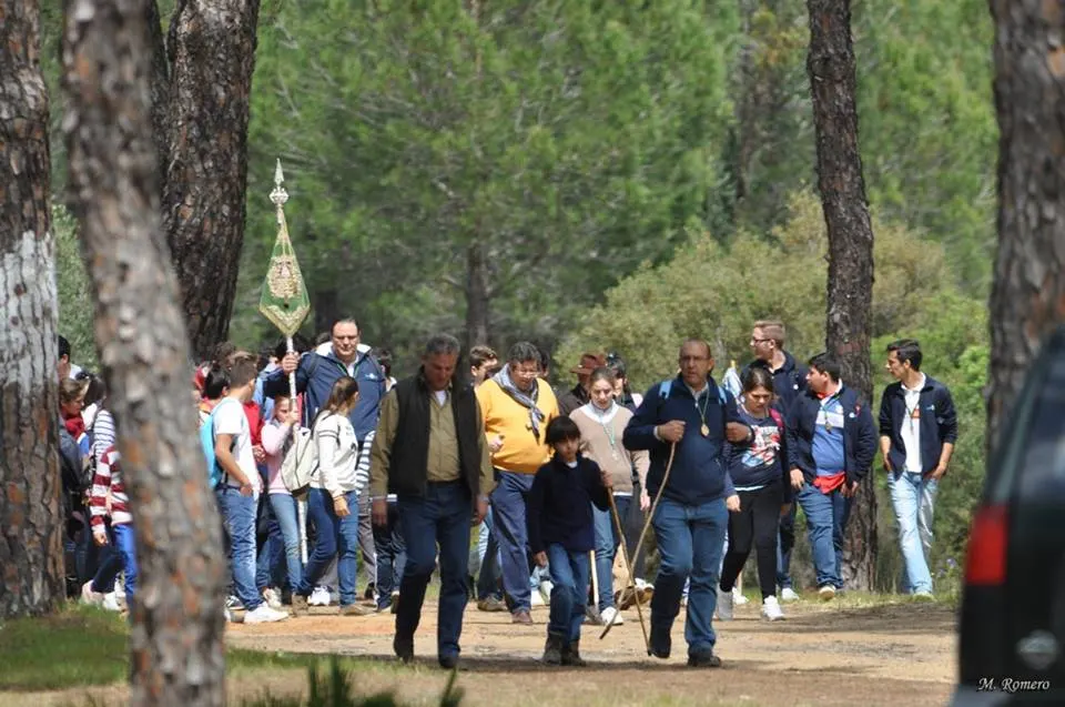 peregrinacion-2014-encuentro-5192-joven-51