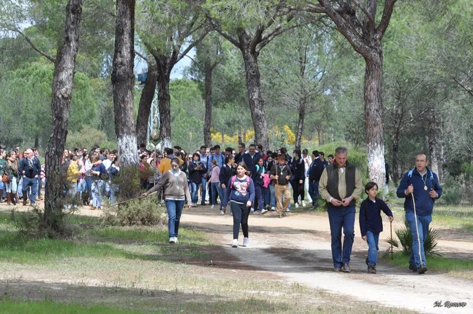 peregrinacion-2014-encuentro-5192-joven-53
