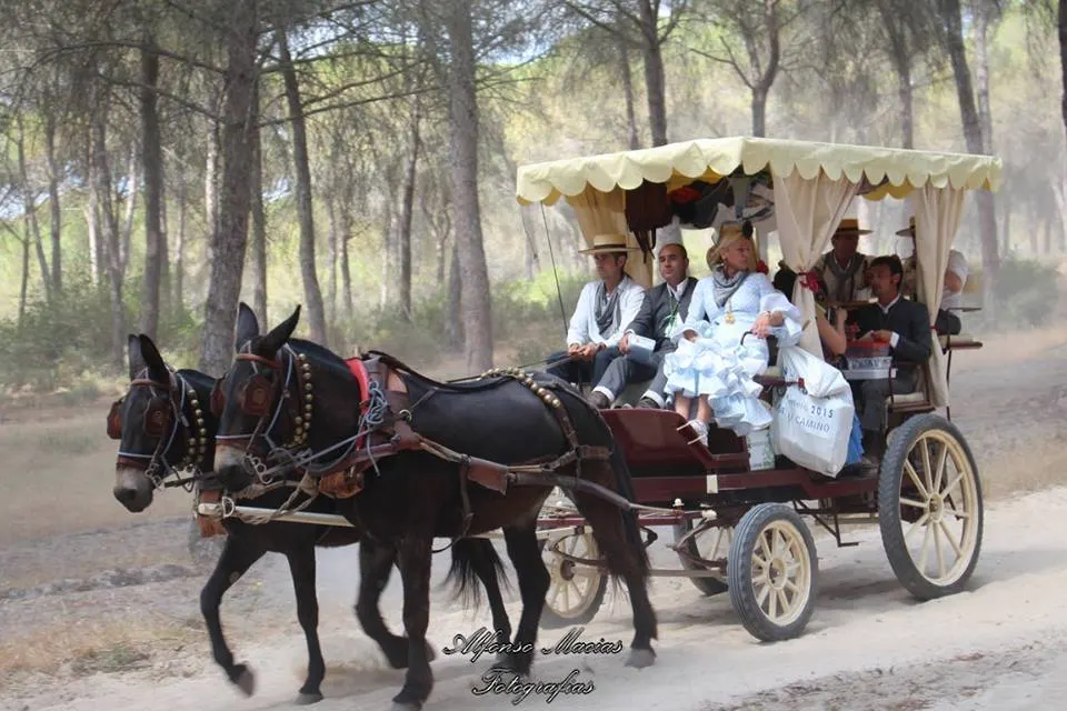 Alfonso Macias rocio 2015-11