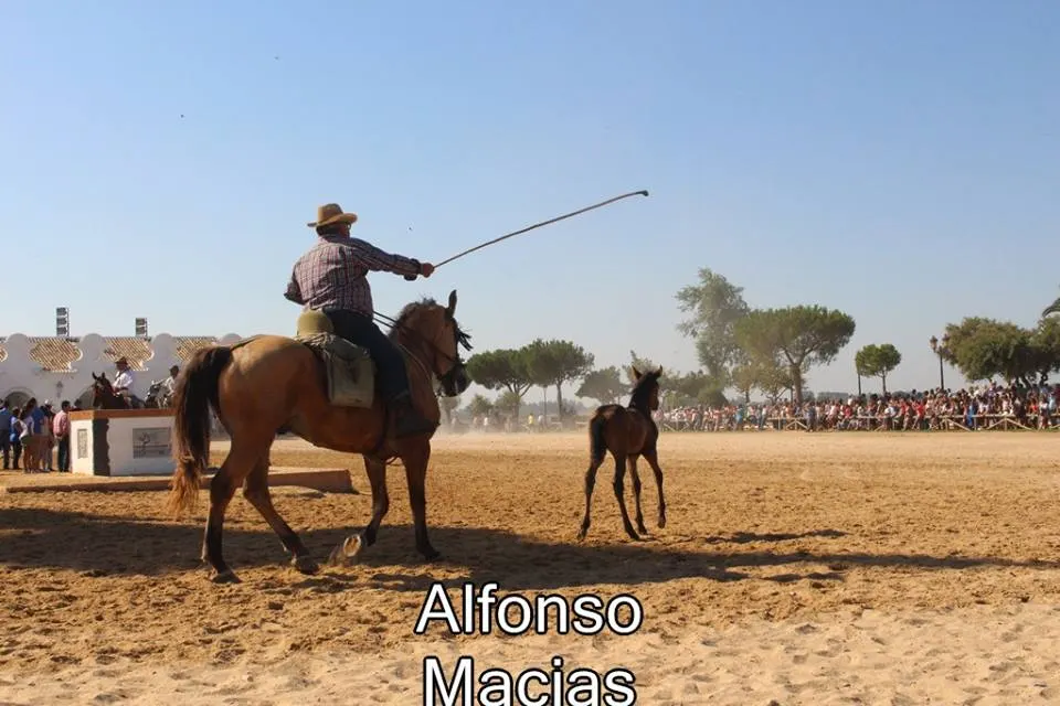 Saca yeguas 2015 a. Macias-19