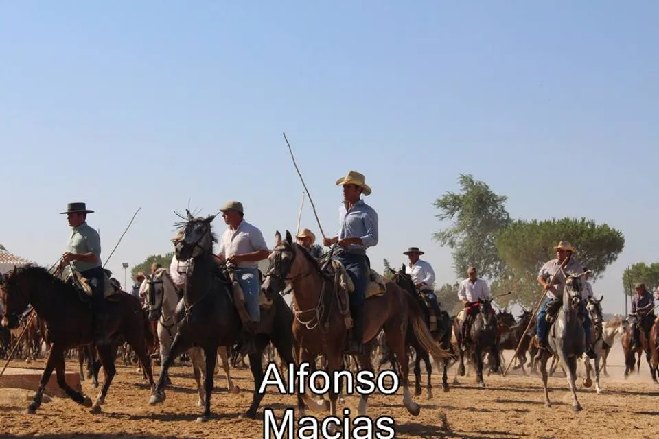 Saca yeguas 2015 a. Macias-20
