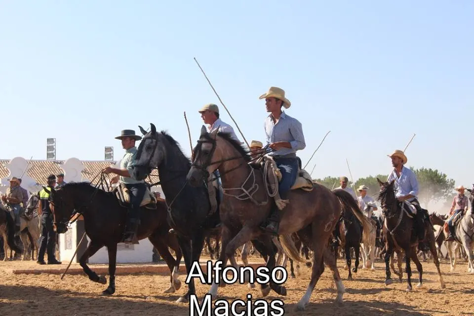 Saca yeguas 2015 a. Macias-21