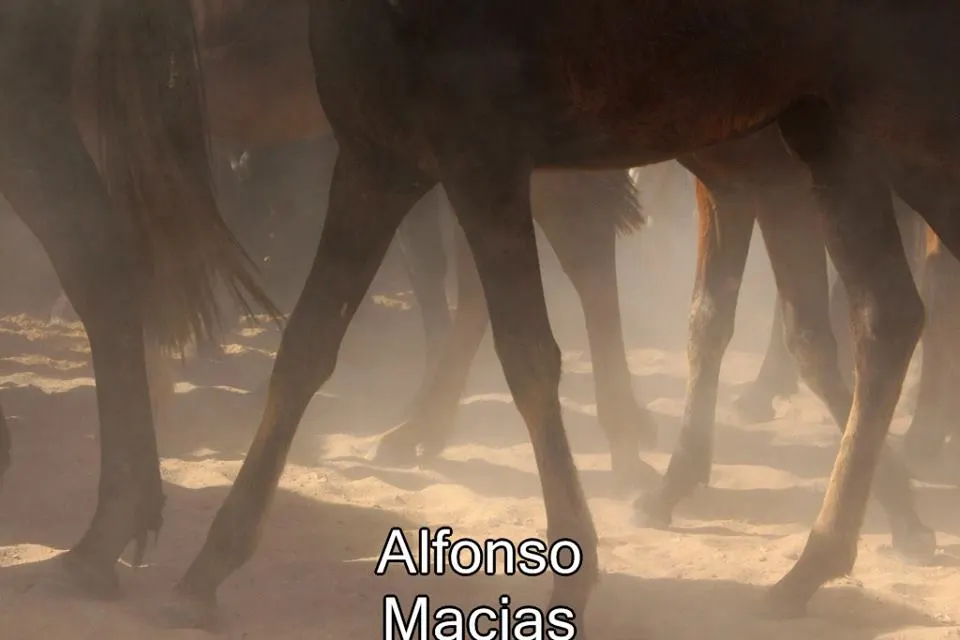 Saca yeguas 2015 a. Macias-24