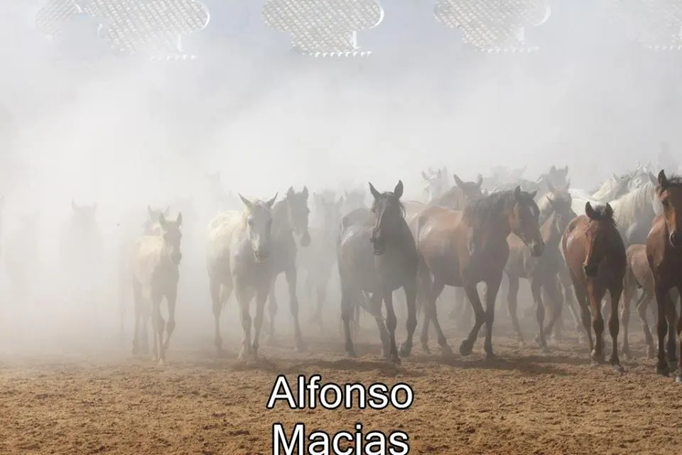Saca yeguas 2015 a. Macias-28