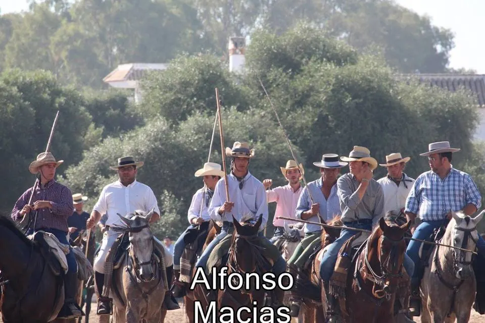 Saca yeguas 2015 a. Macias-4