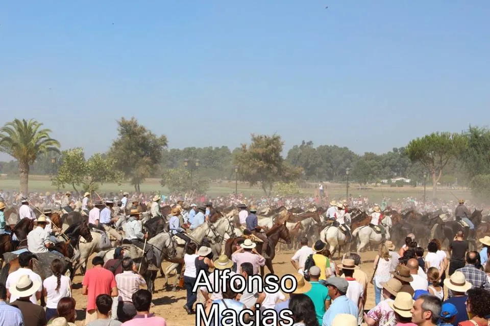 Saca yeguas 2015 a. Macias-52