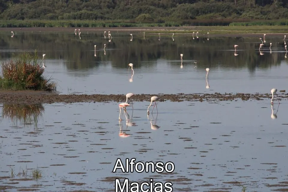 Saca yeguas 2015 a. Macias-7