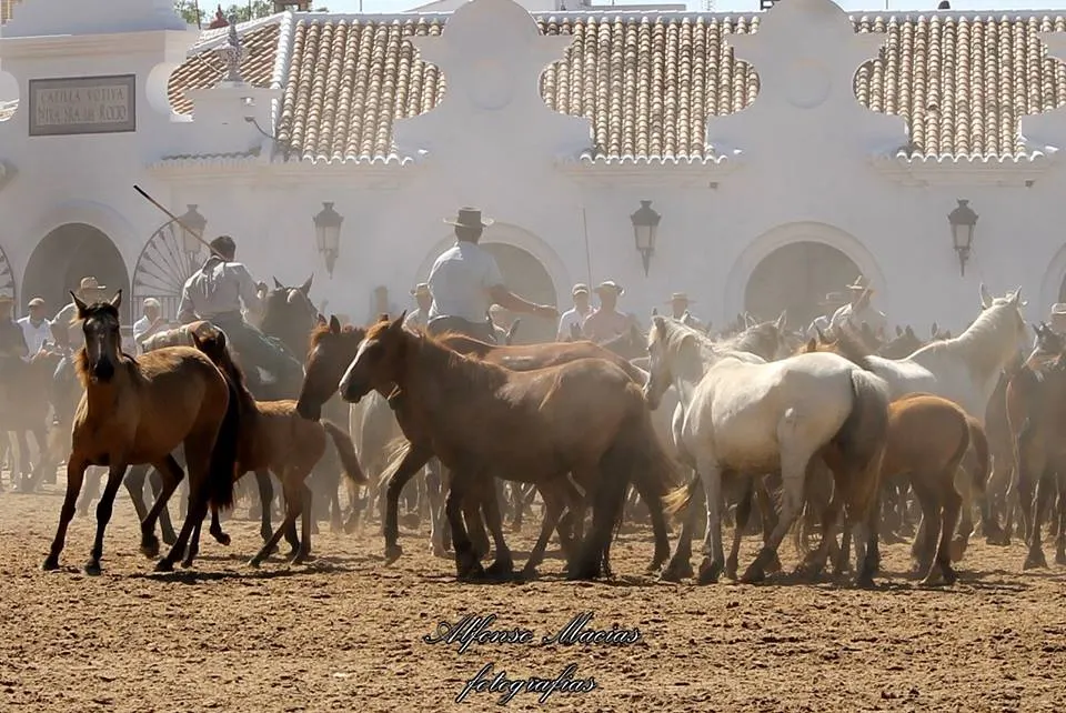 5382-macias-saca-2014-26