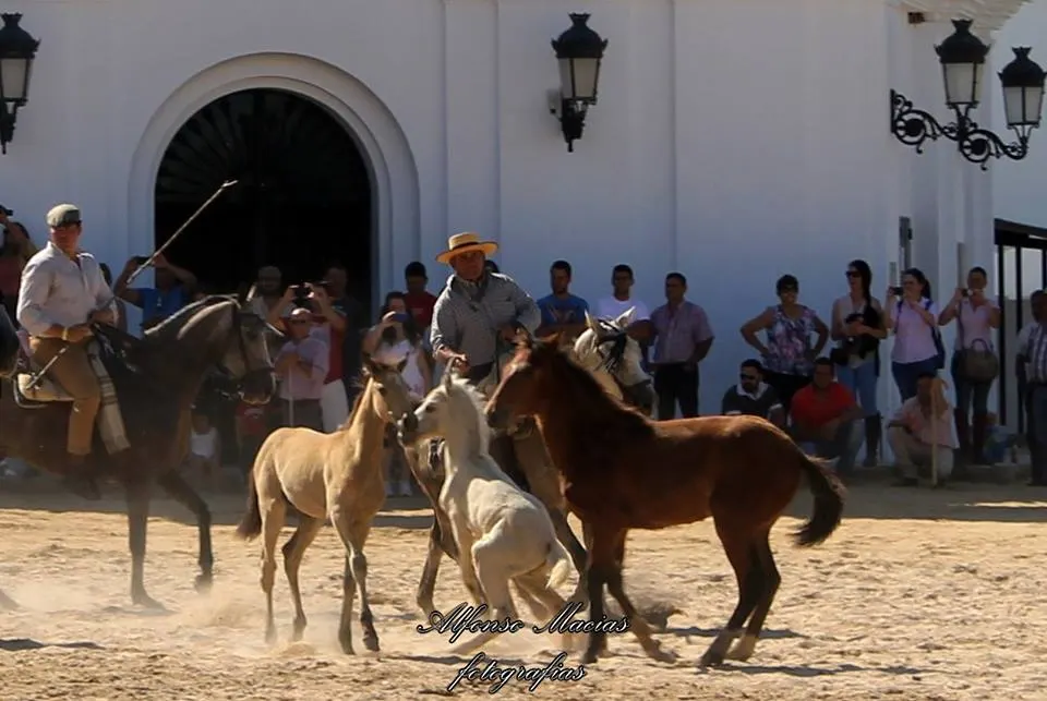 5382-macias-saca-2014-5