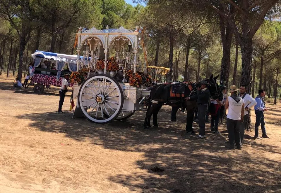 Momentos del Camino al Rocio 2019- Trigueros-2