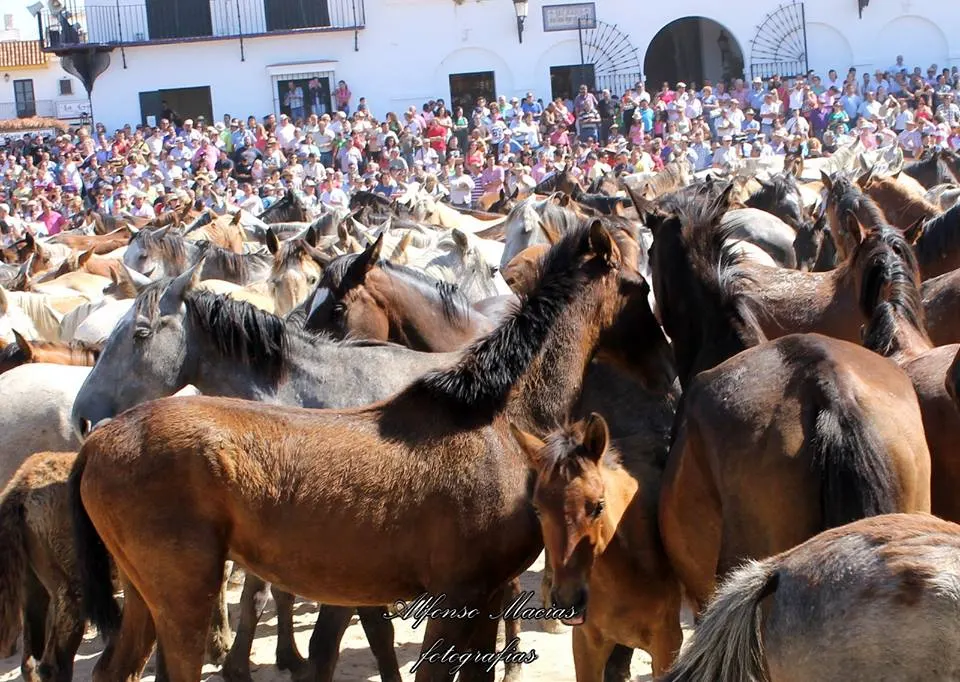 5382-macias-saca-2014-23
