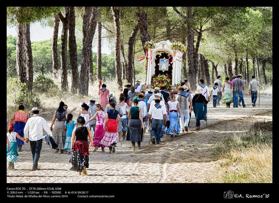 Antonio Ramos -Hermandad de Villalba del Alcor. Rocío, camino 2014-24