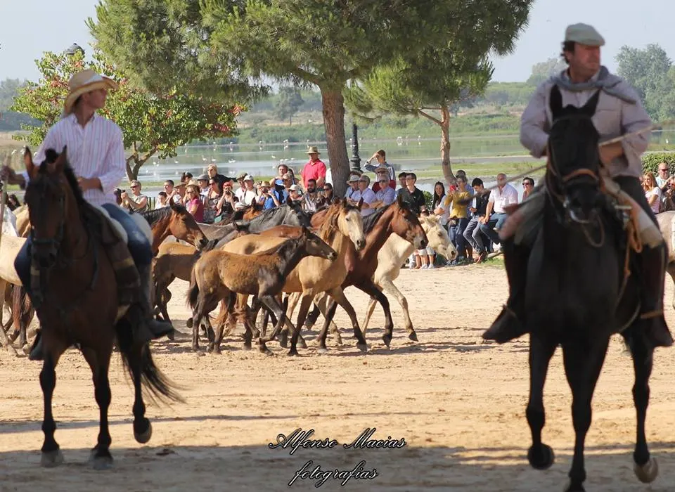5382-macias-saca-2014-32