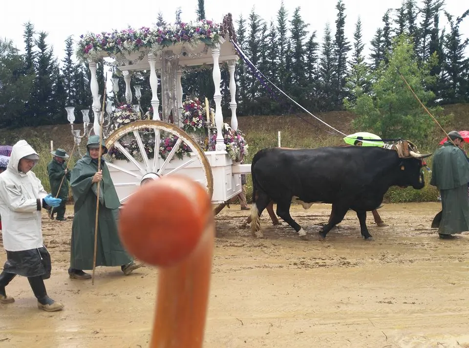 Ronda al rocio 2016-5