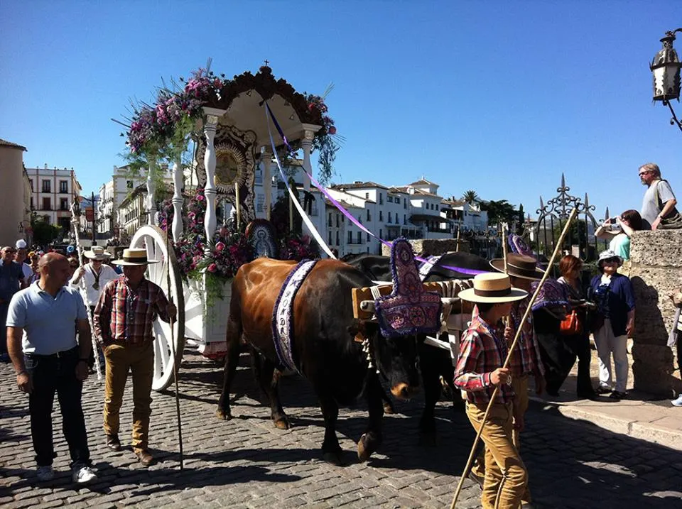 ronda-rocio.com-2014
