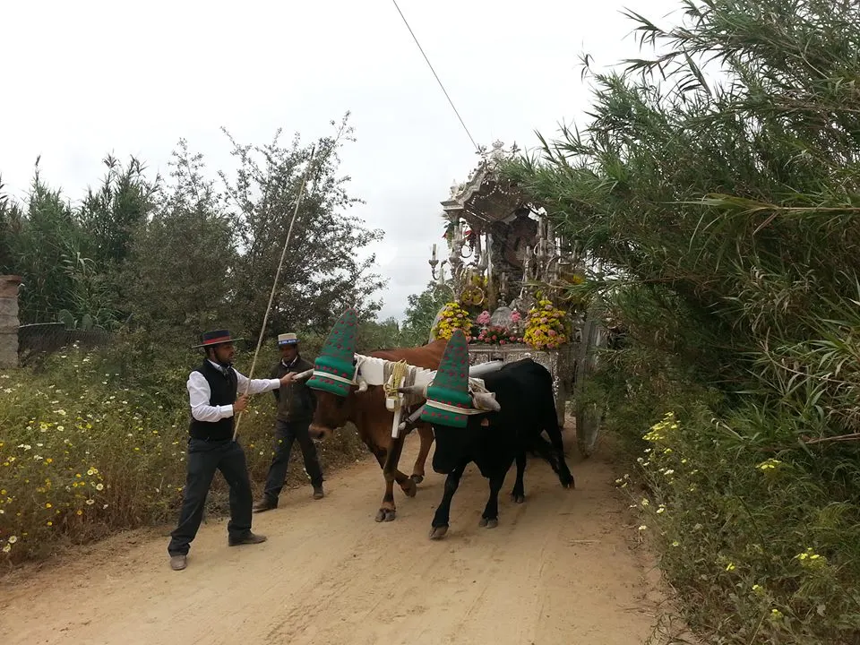 5015-el-mundo-del-rocio-2
