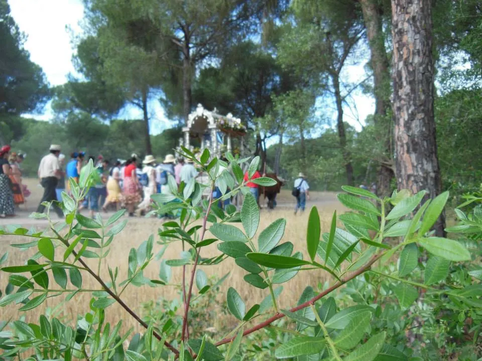 76-fuengirola-5